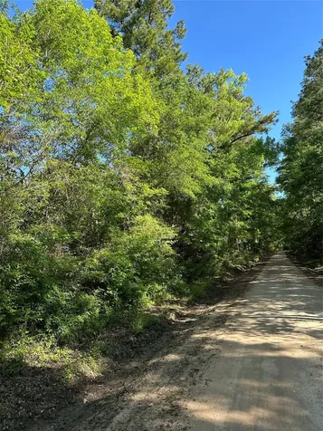 0 Hardy Bottom Road Huntsville TX 77340