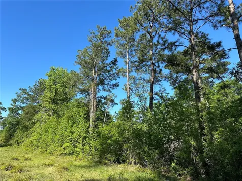 0 Hardy Bottom Road Huntsville TX 77340