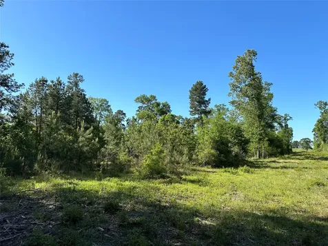 0 Hardy Bottom Road Huntsville TX 77340
