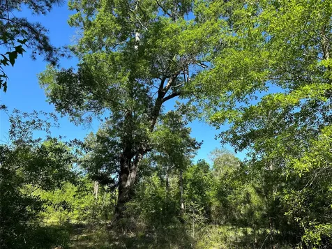 0 Hardy Bottom Road Huntsville TX 77340