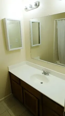 5810 Twisted Pine Court D Houston TX 77039
