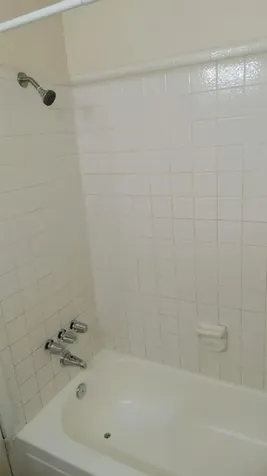 5810 Twisted Pine Court D Houston TX 77039