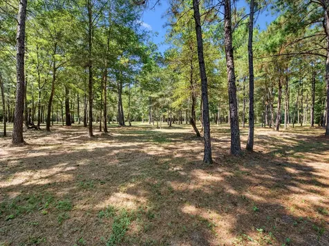 3A-16-3A Grand View Huntsville TX 77340