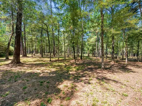 3A-16-3A Grand View Huntsville TX 77340