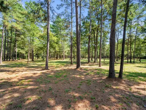 3A-16-3A Grand View Huntsville TX 77340