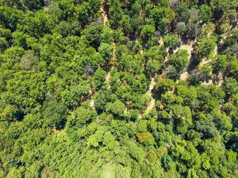3A-16-3A Grand View Huntsville TX 77340