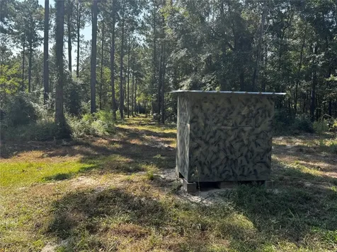 Tract 1 Trinity Lady Park Road W Trinity TX 75862