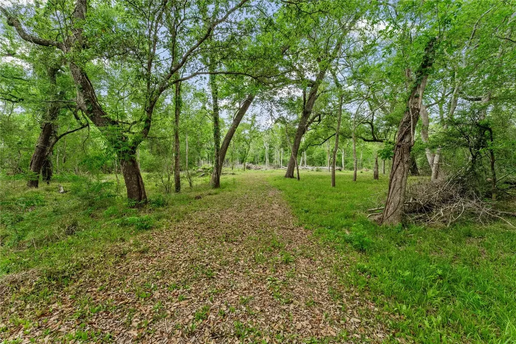 0 Kings Oak Drive Damon TX 77430