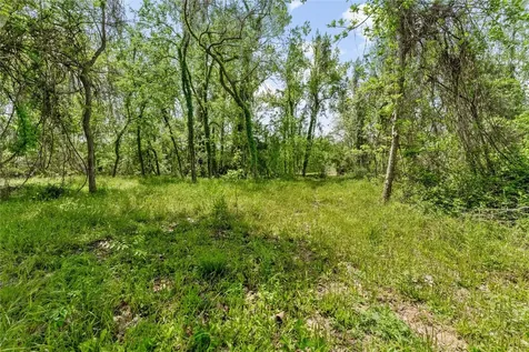 0 Kings Oak Drive Damon TX 77430