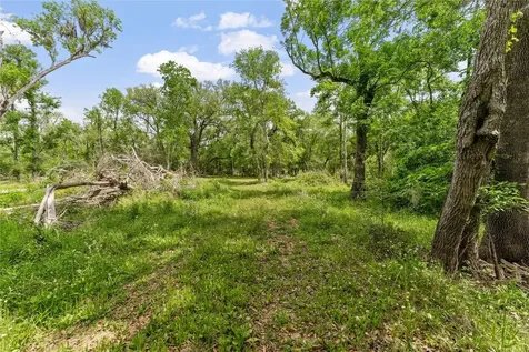 0 Kings Oak Drive Damon TX 77430