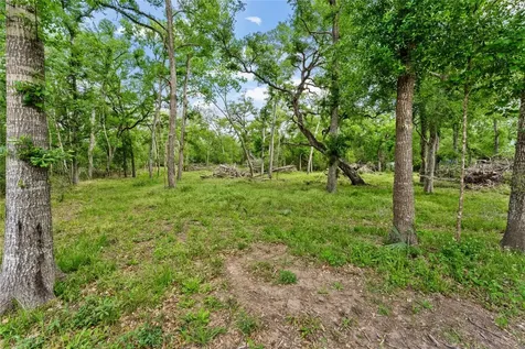 0 Kings Oak Drive Damon TX 77430