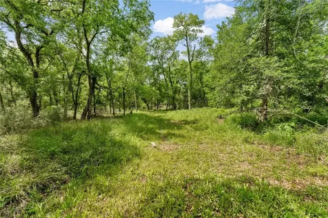 0 Kings Oak Drive Damon TX 77430
