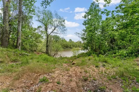 0 Kings Oak Drive Damon TX 77430