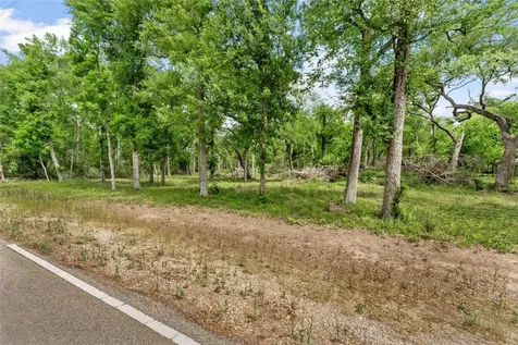 0 Kings Oak Drive Damon TX 77430