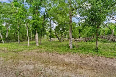 0 Kings Oak Drive Damon TX 77430