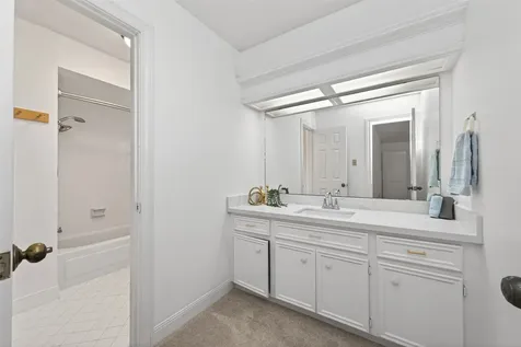 17315 Rothko Lane Spring TX 77379