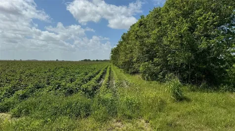 Tbd Lot 1 County Road 414 El Campo TX 77437