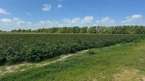 Tbd Lot 1 County Road 414 El Campo TX 77437