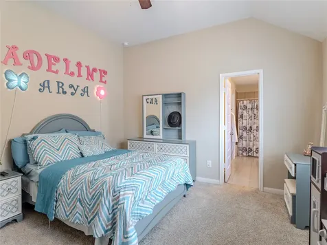 2319 Ironwood Pass Drive Missouri City TX 77459