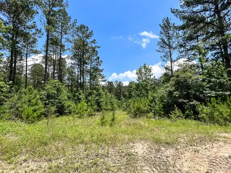 04 Highway 190 Oakhurst TX 77359