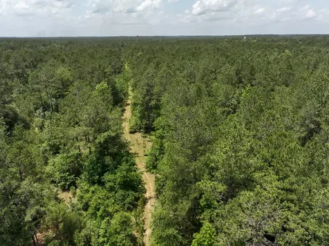 04 Highway 190 Oakhurst TX 77359