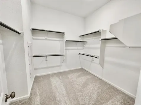18330 Tiger Flowers Drive Conroe TX 77302