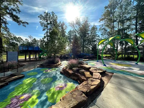 18330 Tiger Flowers Drive Conroe TX 77302