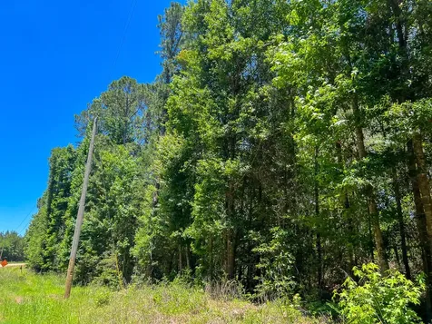 17 Union Springs Road Corrigan TX 75939
