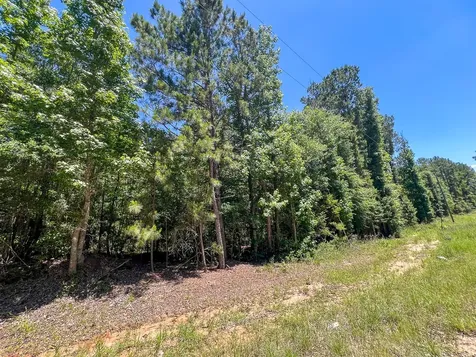 17 Union Springs Road Corrigan TX 75939