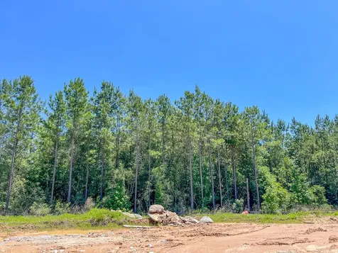 17 Union Springs Road Corrigan TX 75939