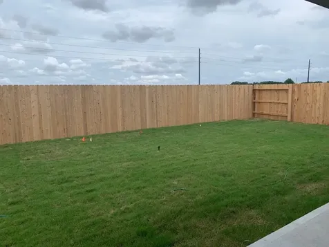 26006 Steele Flower Drive Richmond TX 77406