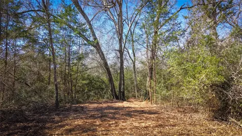 Tbd Cr 327 Milano TX 76556