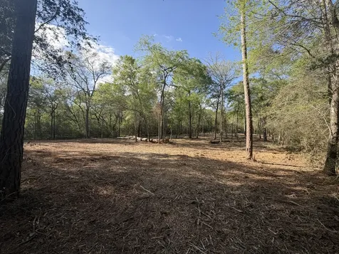 30505 N Walnut Creek Drive Waller TX 77484