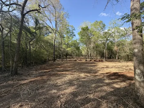 30505 N Walnut Creek Drive Waller TX 77484
