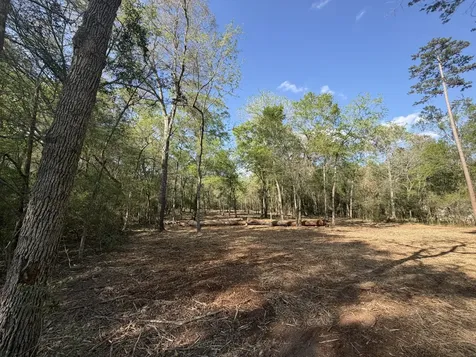 30505 N Walnut Creek Drive Waller TX 77484