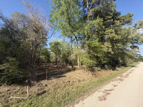 30505 N Walnut Creek Drive Waller TX 77484