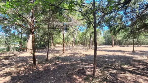 1014 Beaver Lake Drive Caldwell TX 77836