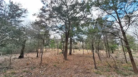1014 Beaver Lake Drive Caldwell TX 77836