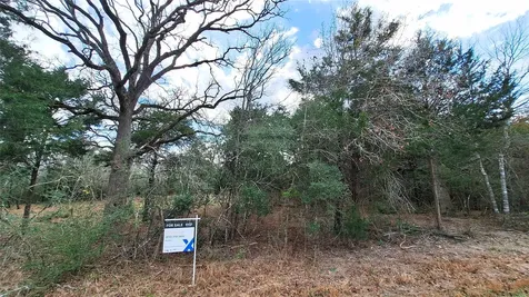 1014 Beaver Lake Drive Caldwell TX 77836