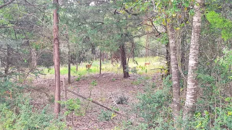 1014 Beaver Lake Drive Caldwell TX 77836