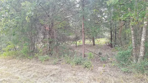 1014 Beaver Lake Drive Caldwell TX 77836