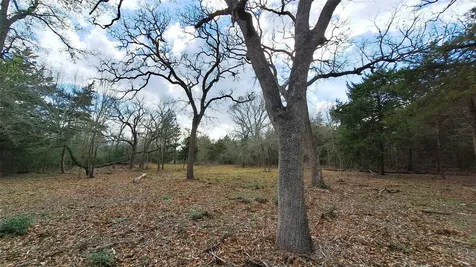 1014 Beaver Lake Drive Caldwell TX 77836