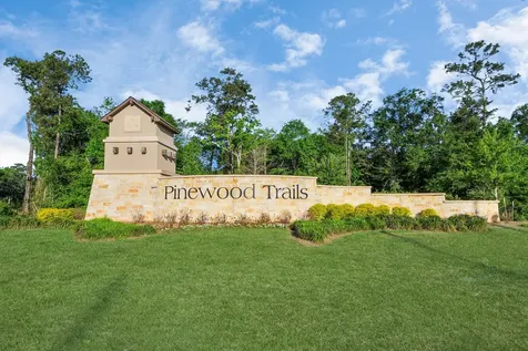 25469 Black Spruce Drive Cleveland TX 77328