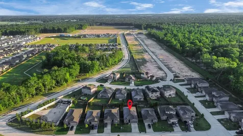 25469 Black Spruce Drive Cleveland TX 77328