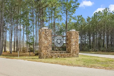 11584 Inspiration Drive Willis TX 77378