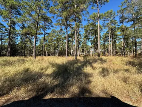 065 Private Road 6026 Brookeland TX 75931
