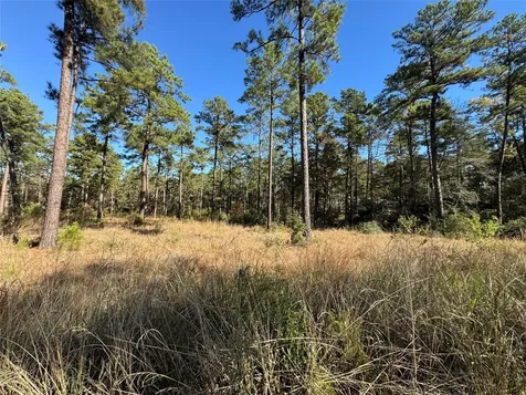 065 Private Road 6026 Brookeland TX 75931