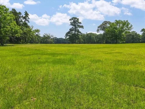 13475 Mary Wagner Willis TX 77318