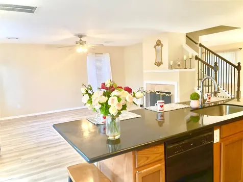 3742 Brighton Springs Lane Katy TX 77449