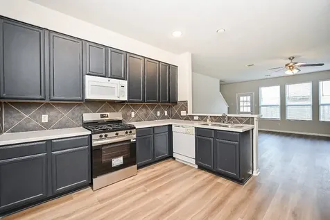 3335 Dale Ridge Trail Houston TX 77084